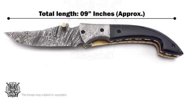 Beautiful Damascus Pocket knife with Damascus Handle & Blade, Folding knife with liner lock, Camping Knife, Hunting knife with Premium Leather Sheath (FK-10)