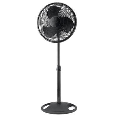 Stand Fan Blk16" Brown Box